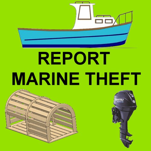 theft report